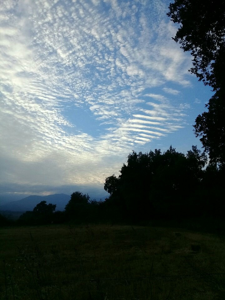 mi foto  06:am
