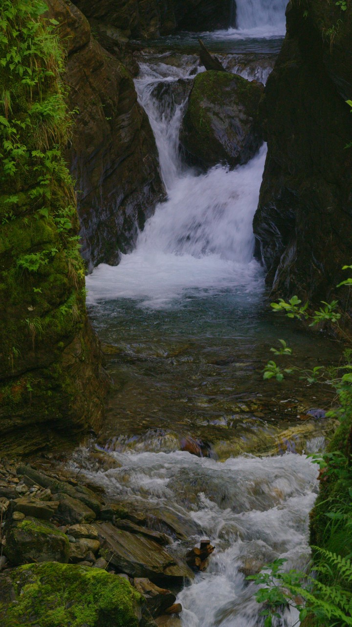 [Video Wallpaper] Flows