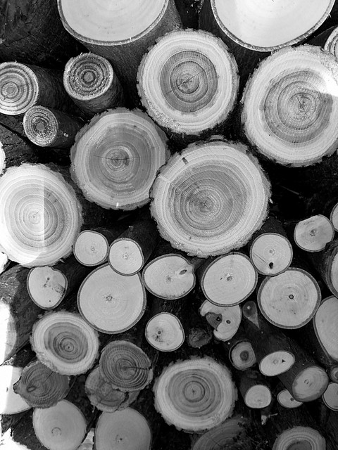 wood