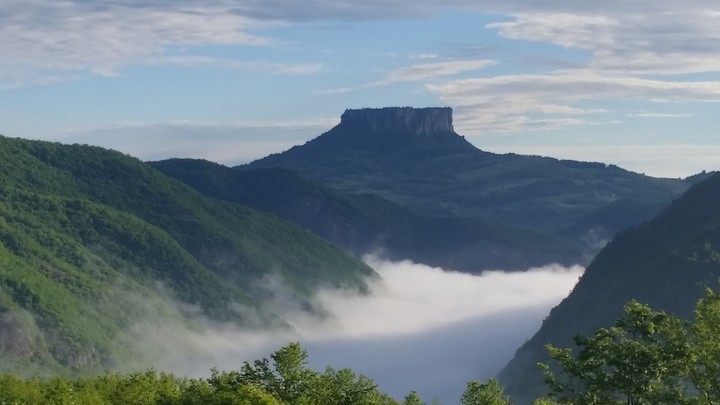 fog