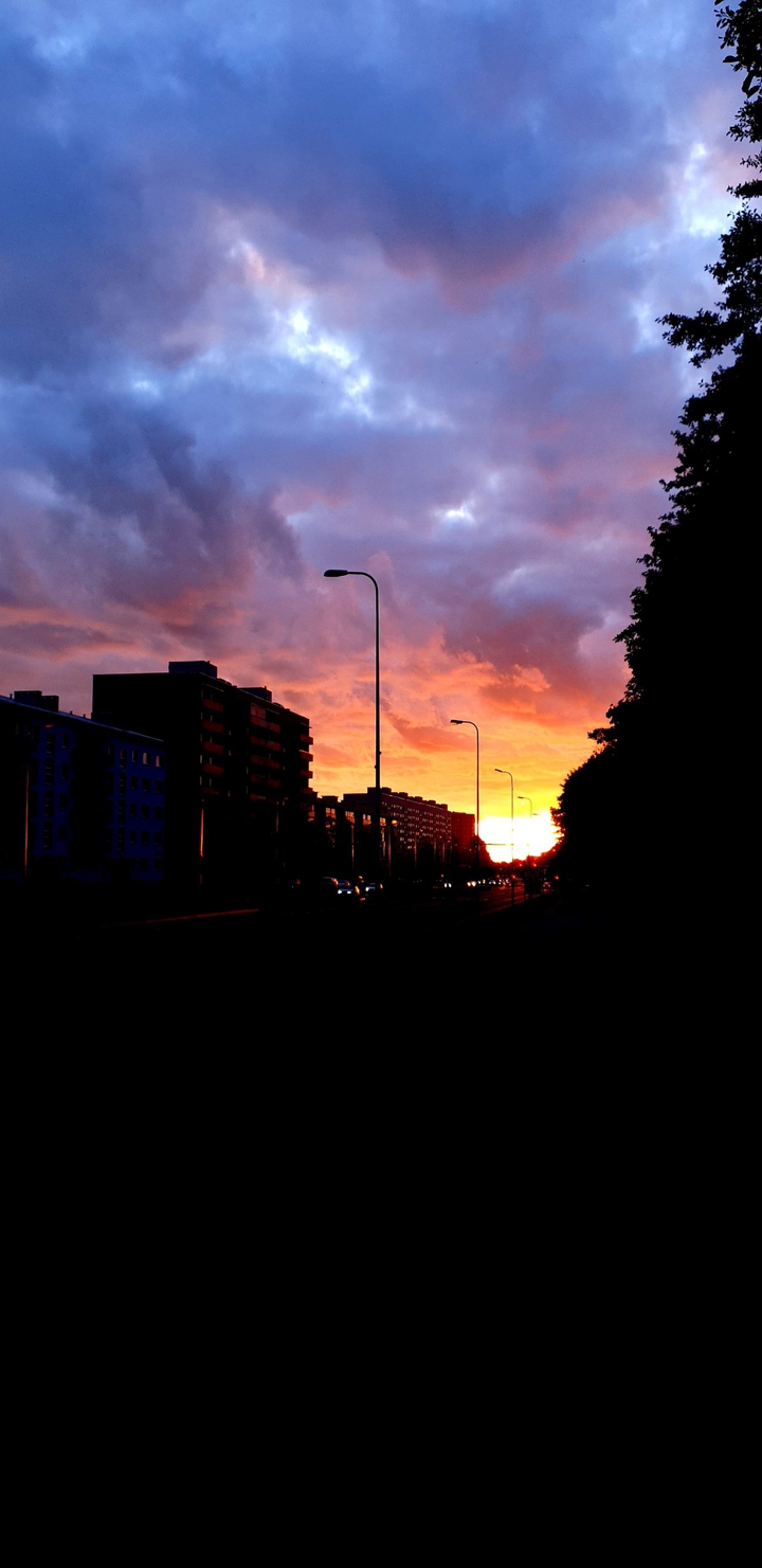 fire in the sky