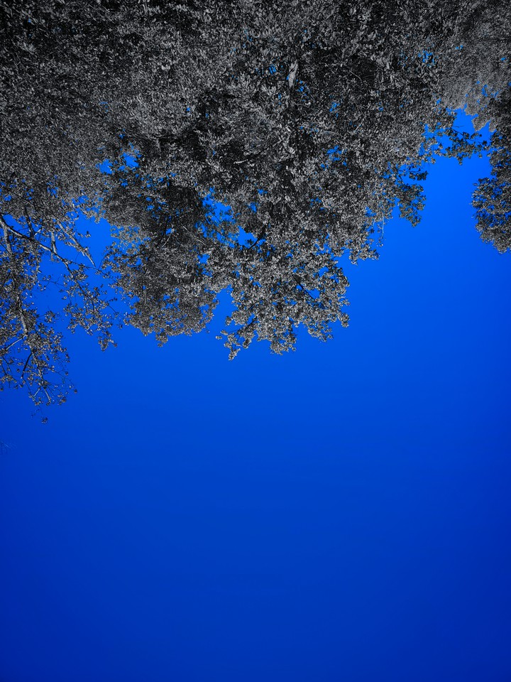 BrightSky