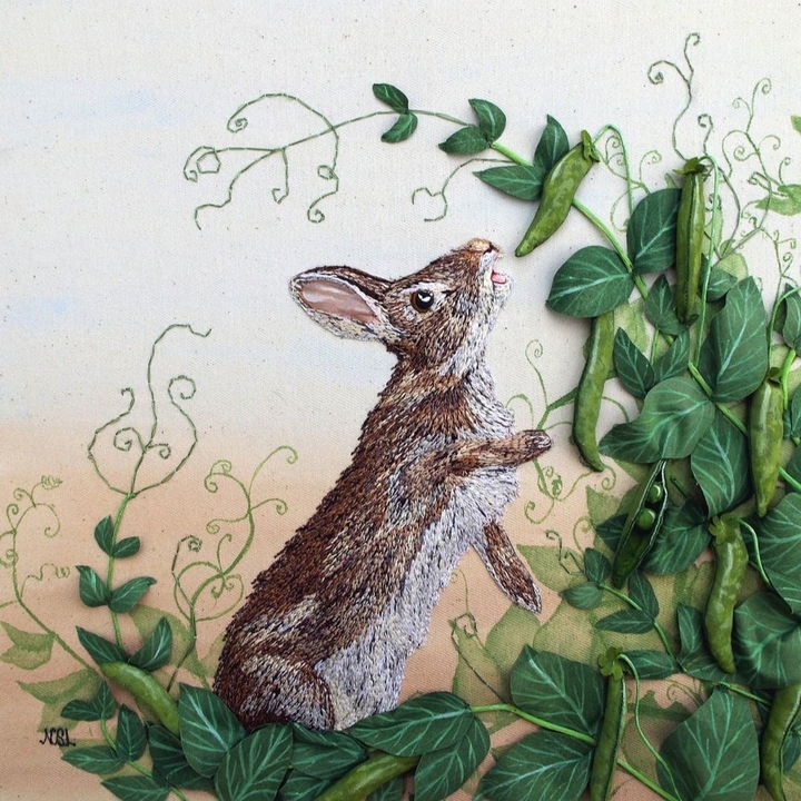 bunny ?
