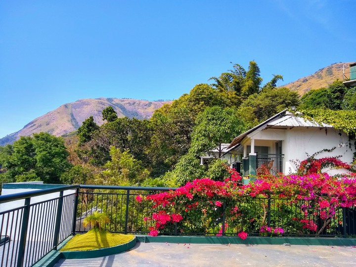 View From A Resort
