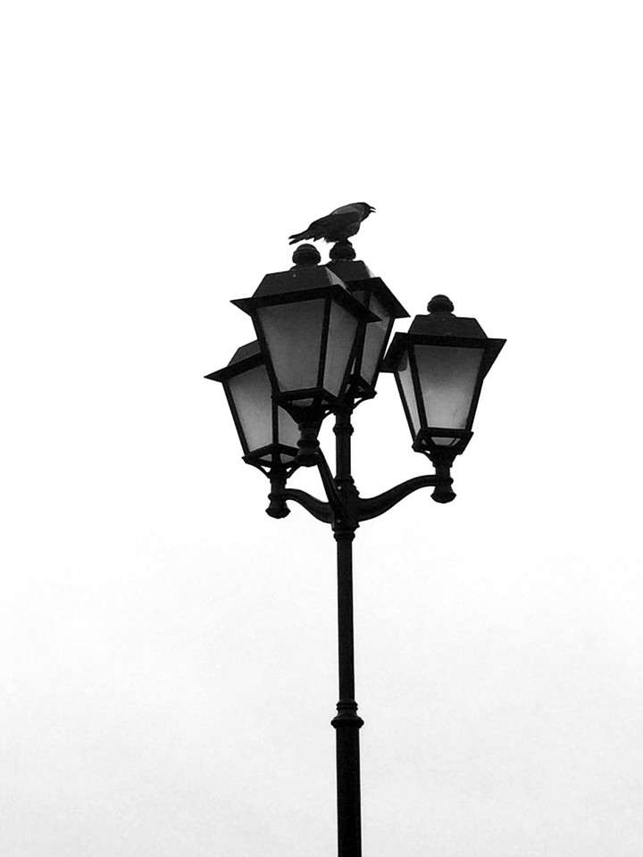 Guardian