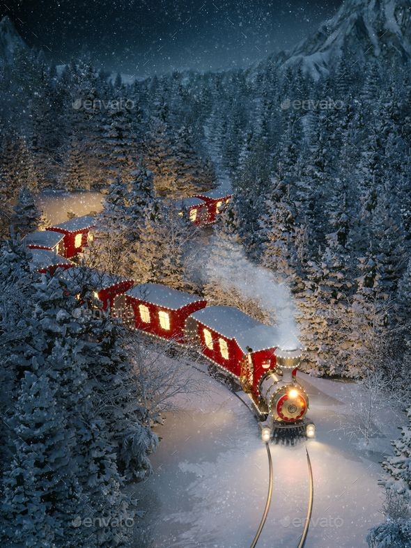 Winter Train