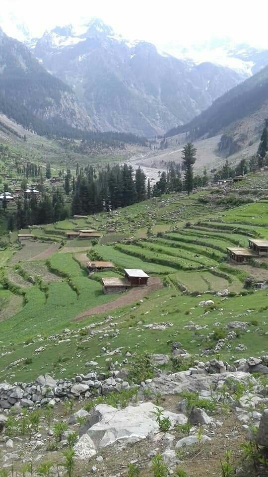 سوات