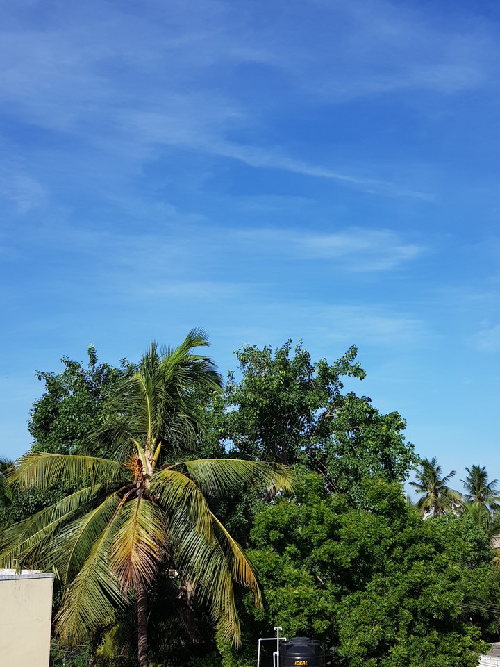 blue sky