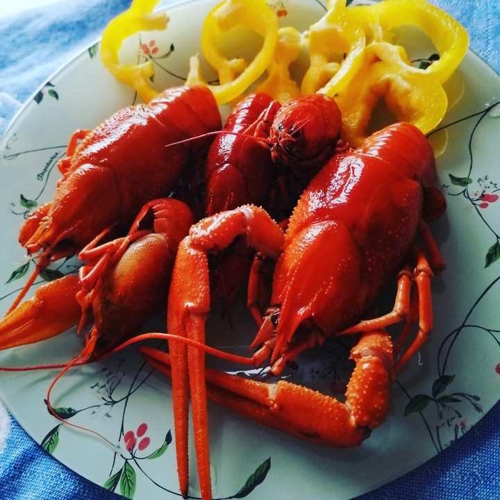 раки