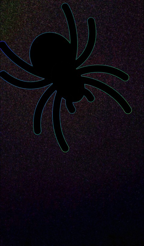 Spider