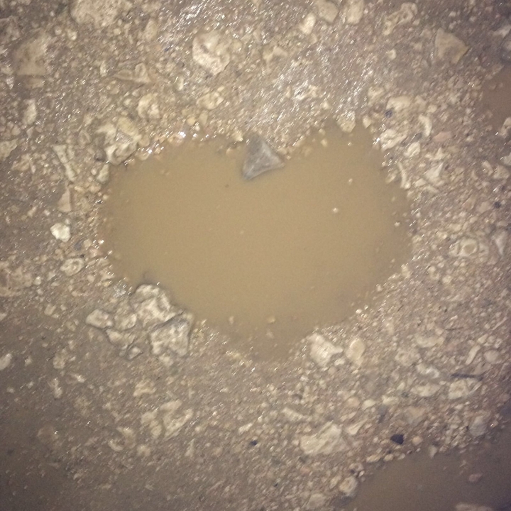 heart