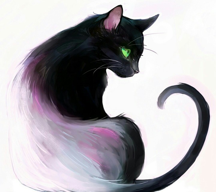 черный ангел кот