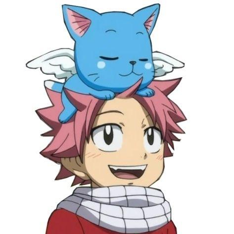 natsu et happy
