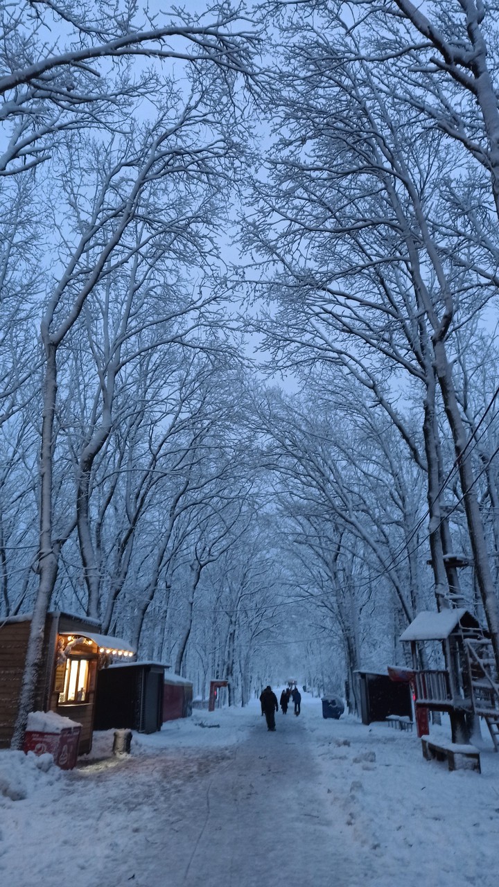 snow