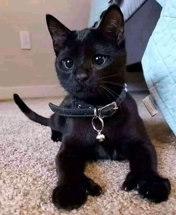 ♥️