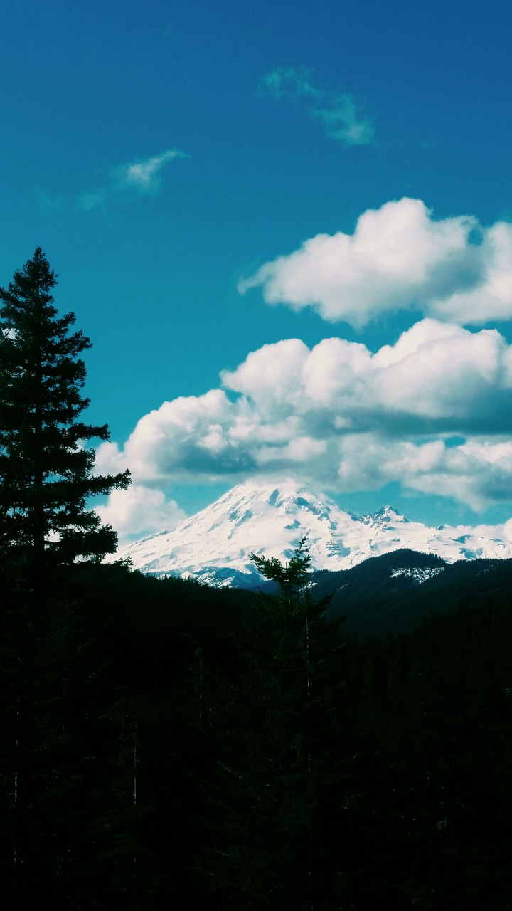 Mount Rainier