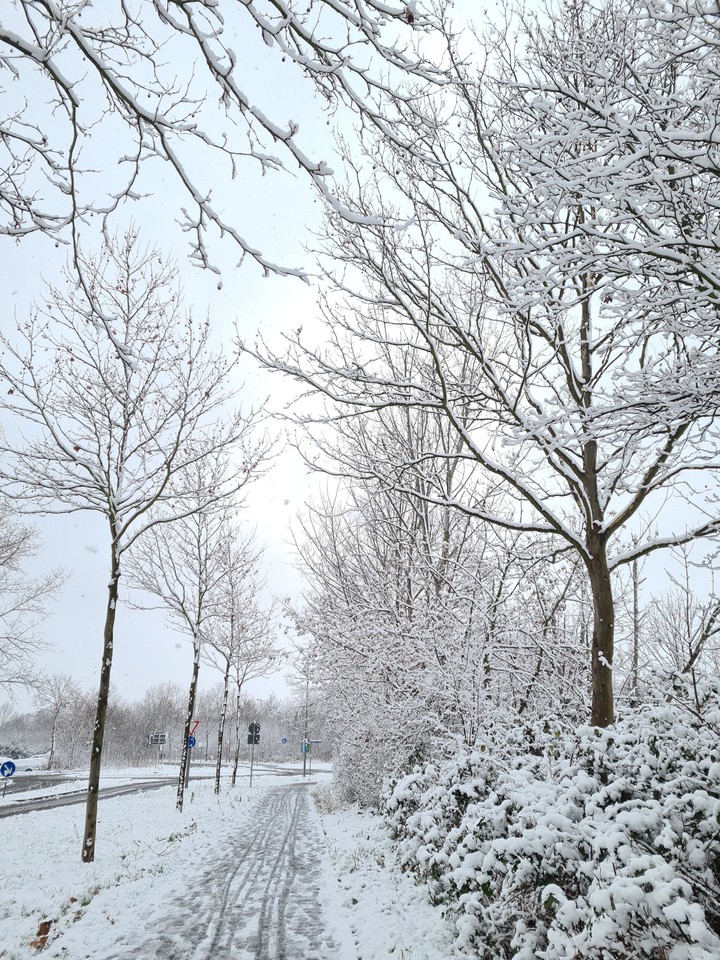 Winter