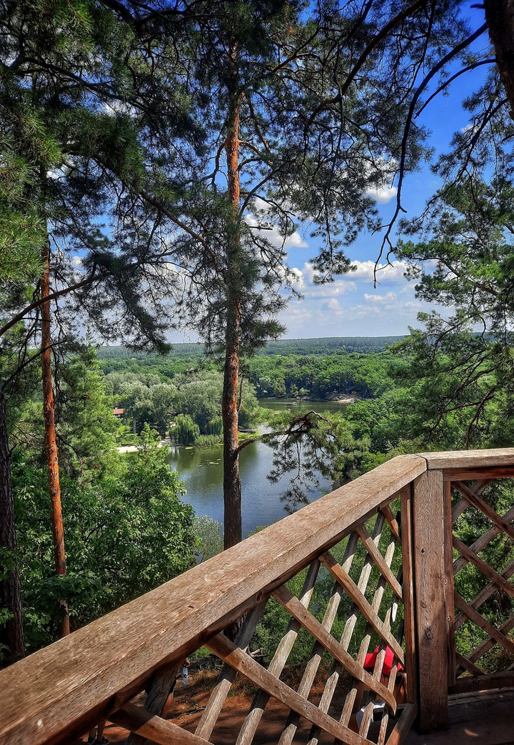 the view