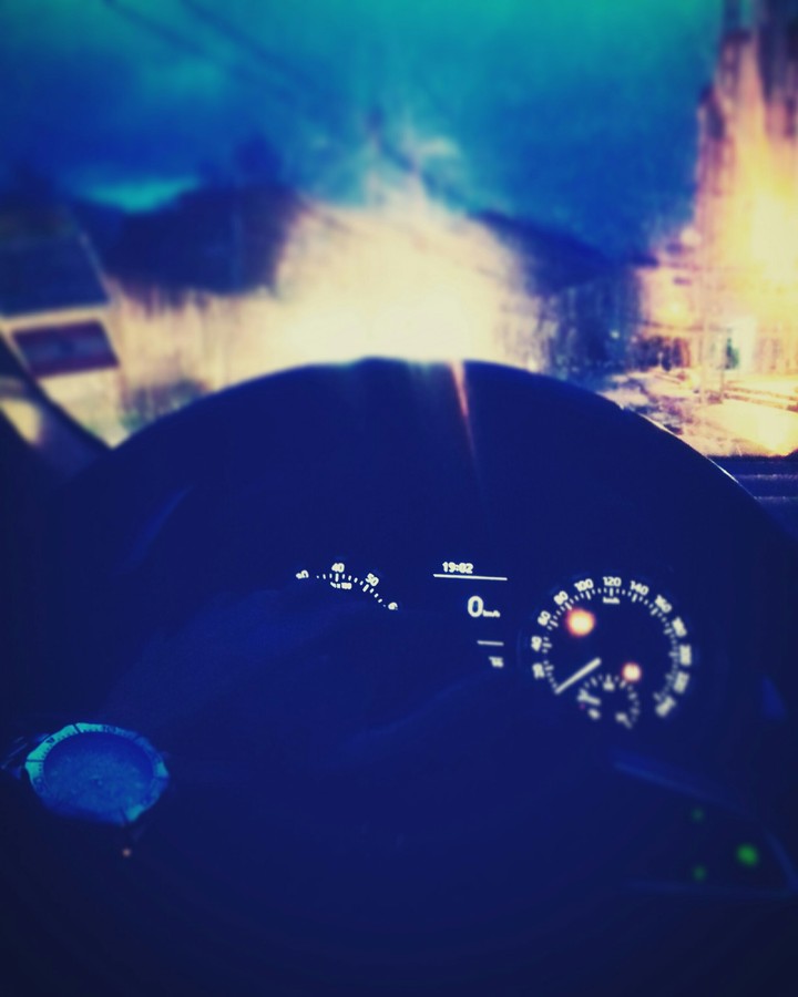 night lover