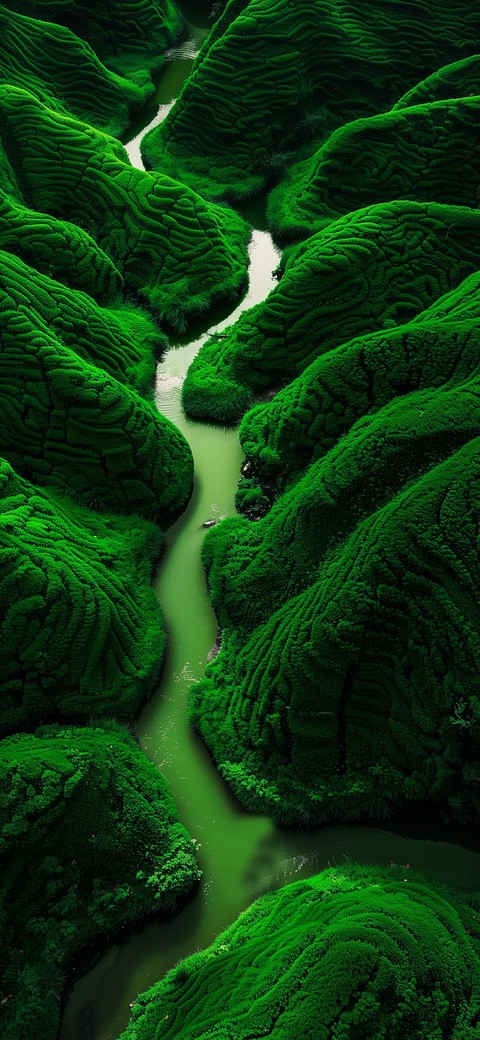 tributary, stream háttérképek