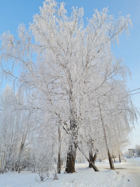 зимняя сказка
