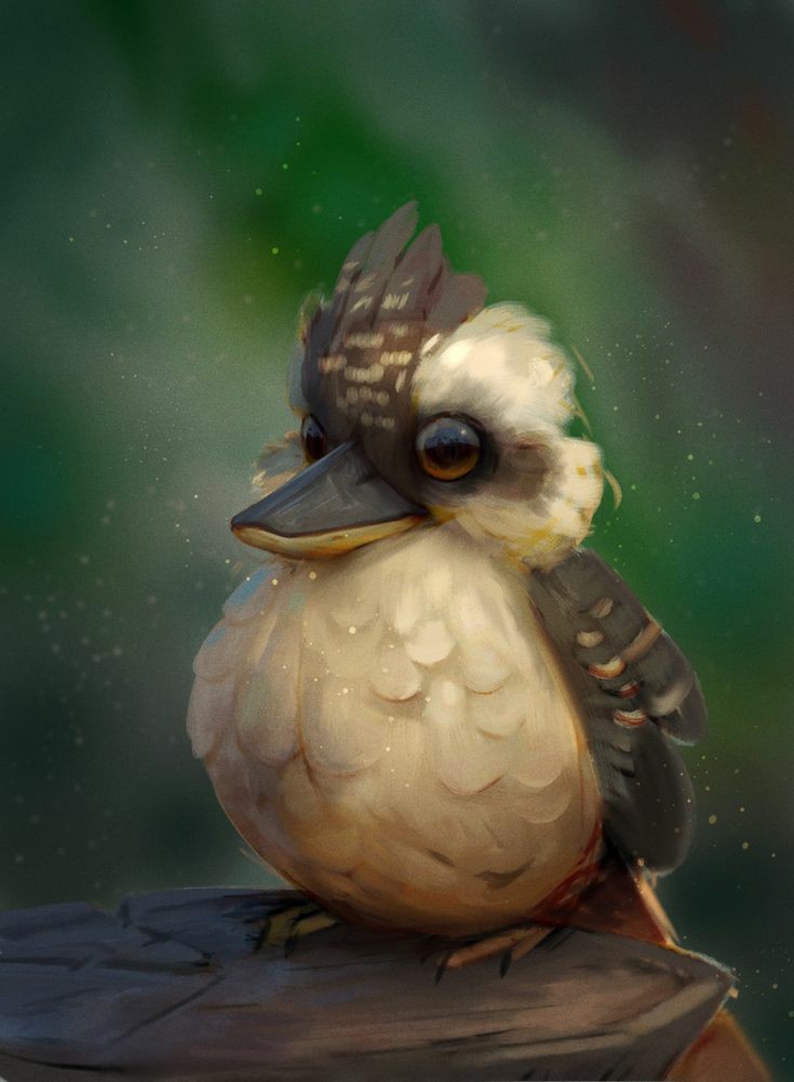 birds