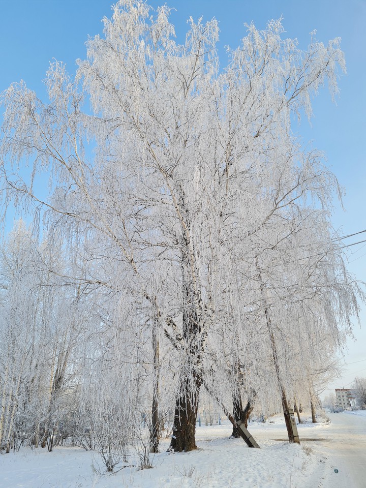 зимняя сказка