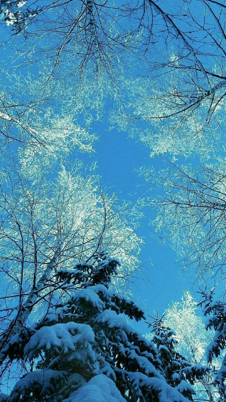 Winter is so wonderful☃,isn't it?