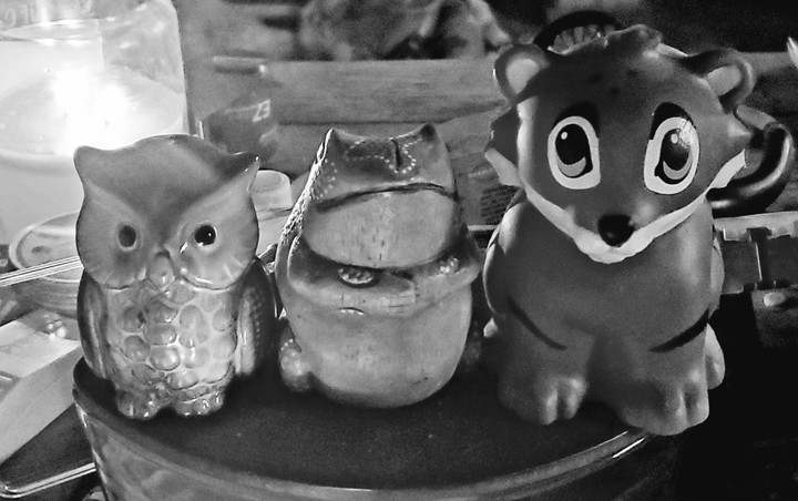 Three wise animals