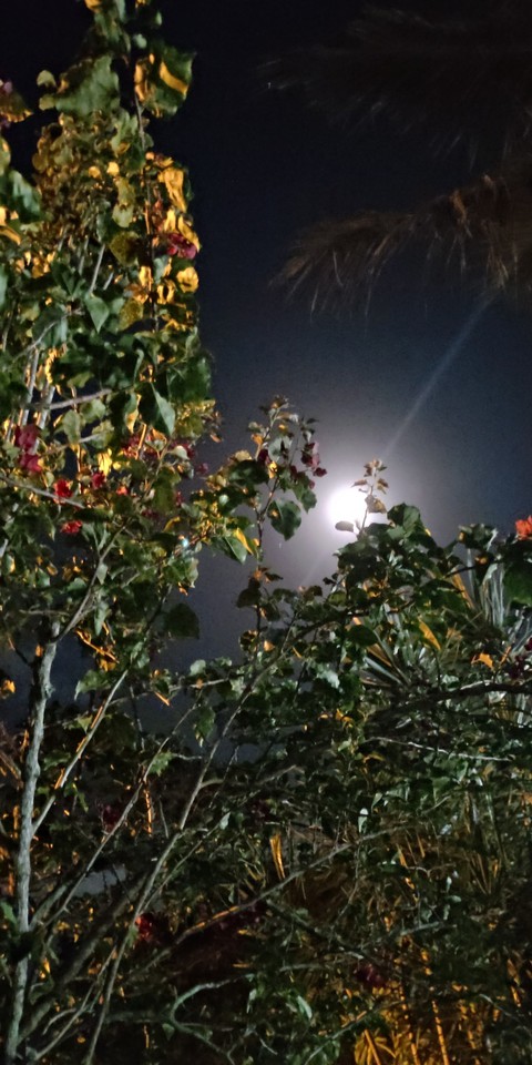 Lua ?