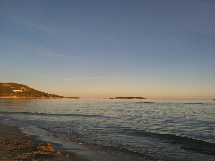 Corse