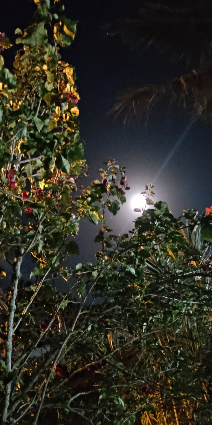 Lua ?