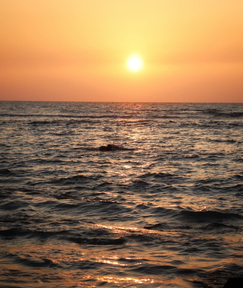Hope is alive and life is moving..