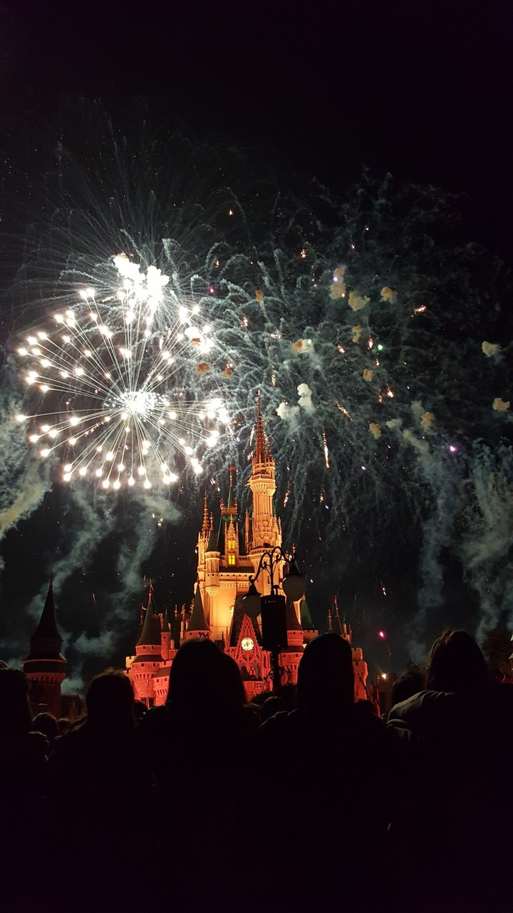 magic world
