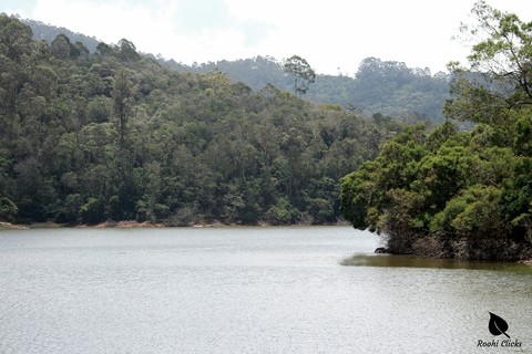 kodaikanal lake