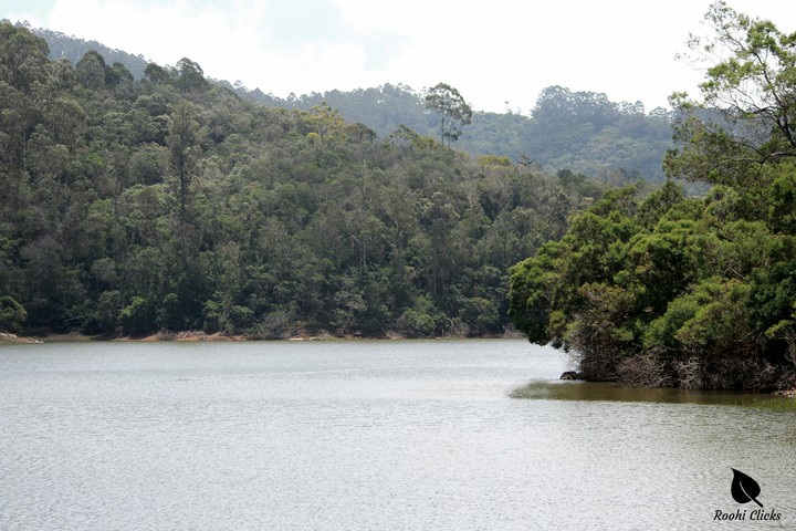 kodaikanal lake
