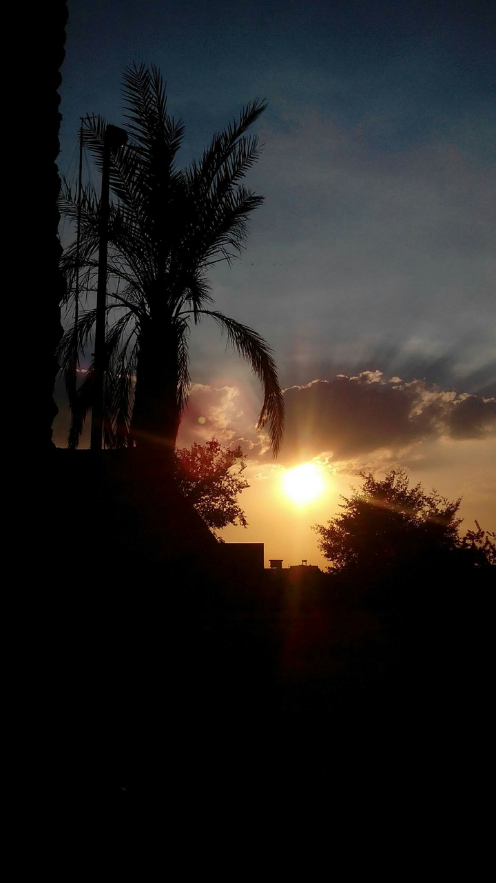 sunset