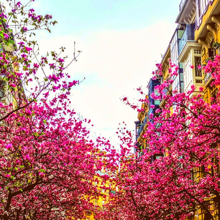 ensanche Cortazar (Donostia)
