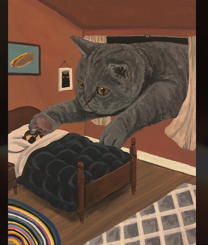 cat
