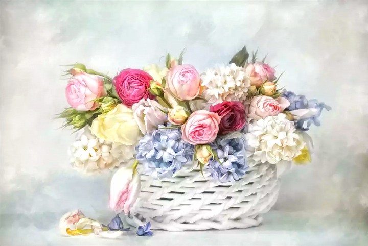 basket flower