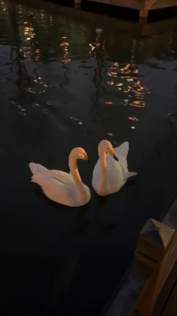 ❤️