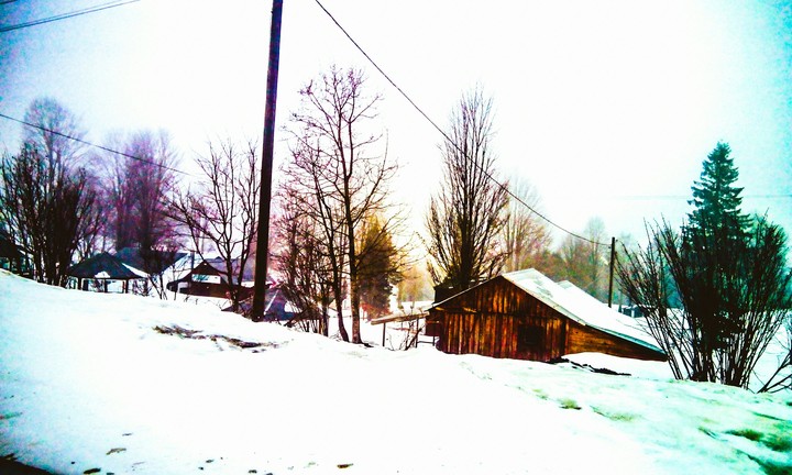 snowy