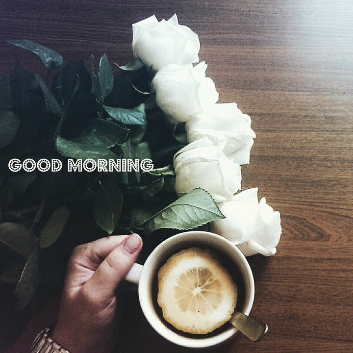 good morning