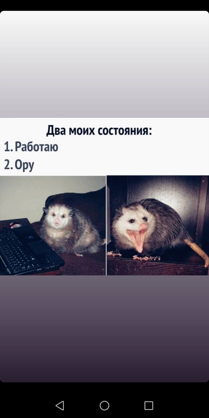 в основном ору