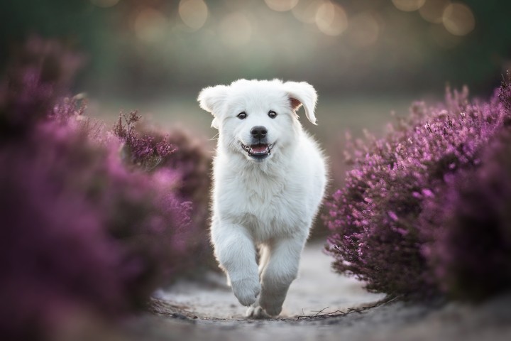 cute