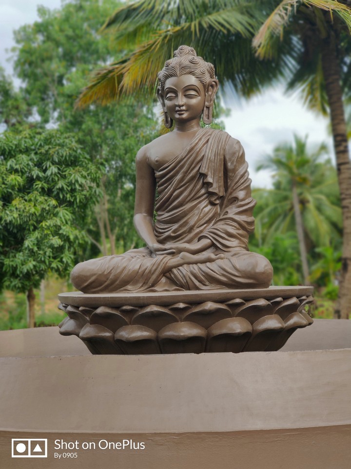 Budha