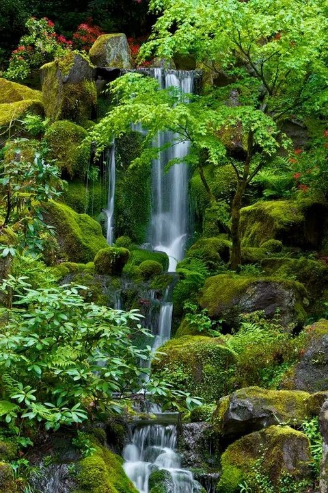 Gorgeous Green Wonderful Waterfall.