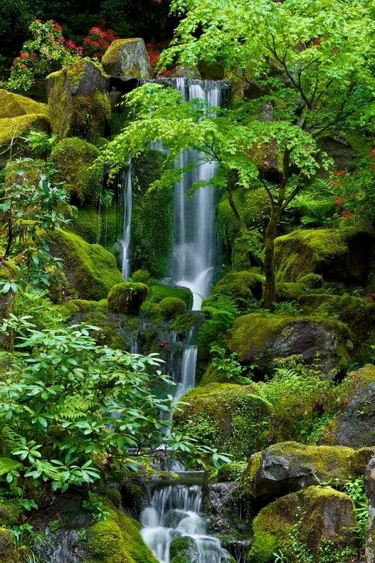 Gorgeous Green Wonderful Waterfall.