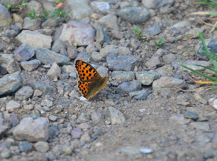 A point in the wilderness