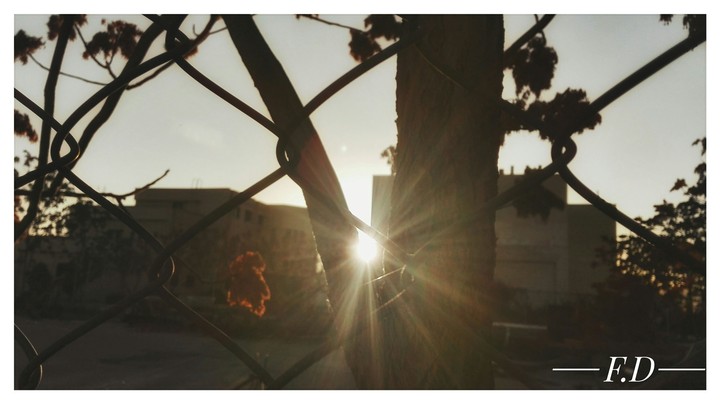sun